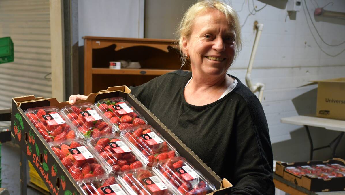 Ms Schultz has numerous strawberry products on offer, such as her freeze-dried strawberry power and the newest addition, strawberry honey, created with Hum Honey Sunshine Coast.