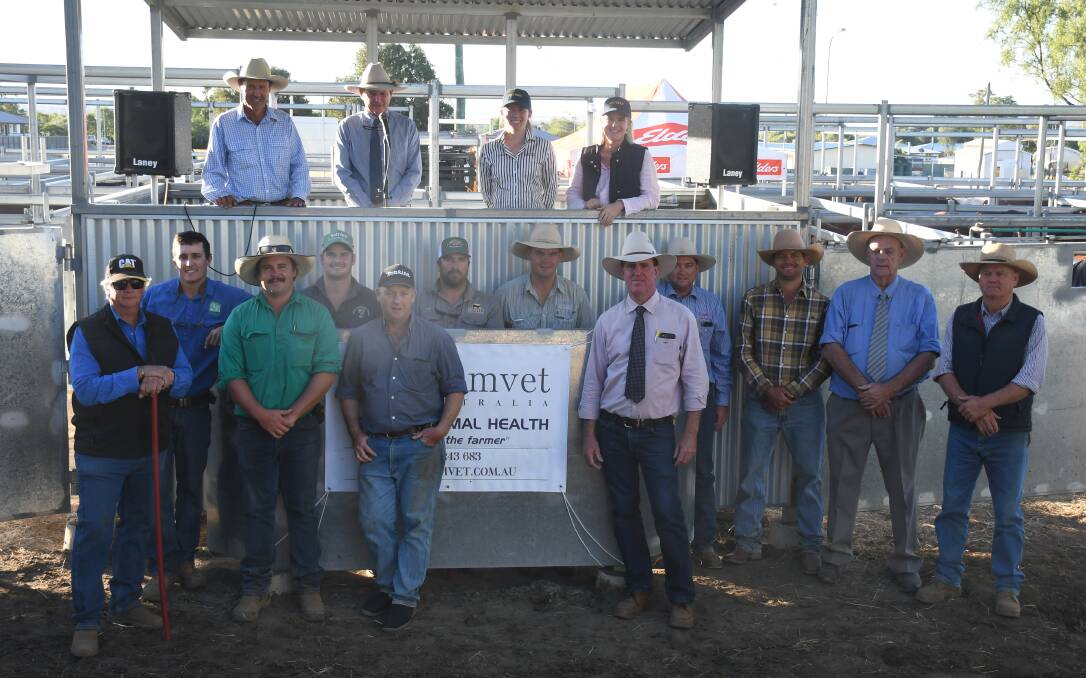 The prime and store cattle team put in the hard yards to get through a record number of entries this year. 
