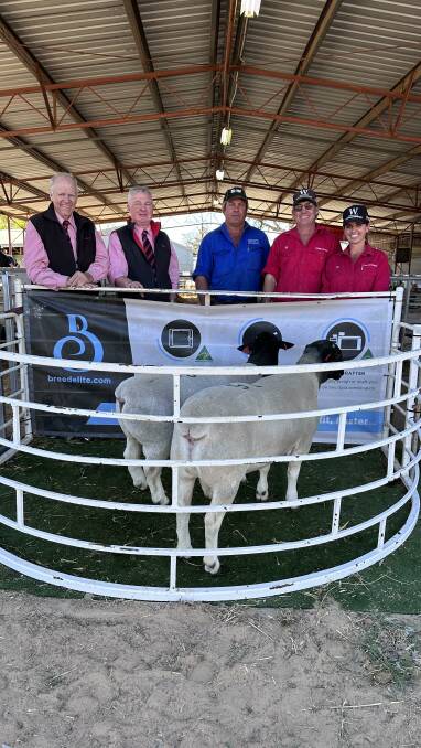 Brendan Devine and Andrew Meara, Elders, Mark Mason, Mirage Land and Water, and Nick and Mel Pagett with the top priced Dorper rams. Pictures: Supplied