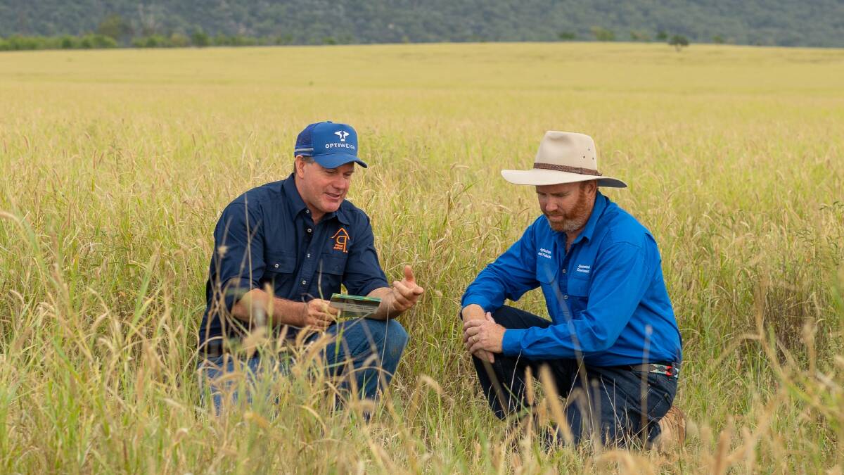 Arcadia Valley beef producer Owen Price discussing pasture dieback with DAF Principal Pasture Agronomist Stuart Buck. Picture supplied by DAF