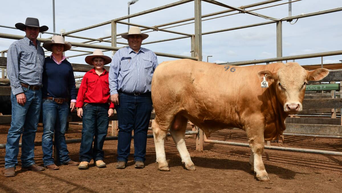 Top-priced bull Brendale Side-Step with buyers Matt Brown and Kate McNamara, YLE Grazing, and vendors Ben and Brendan Scheiwe, Brendale Charolais. Picture: Clare Adcock