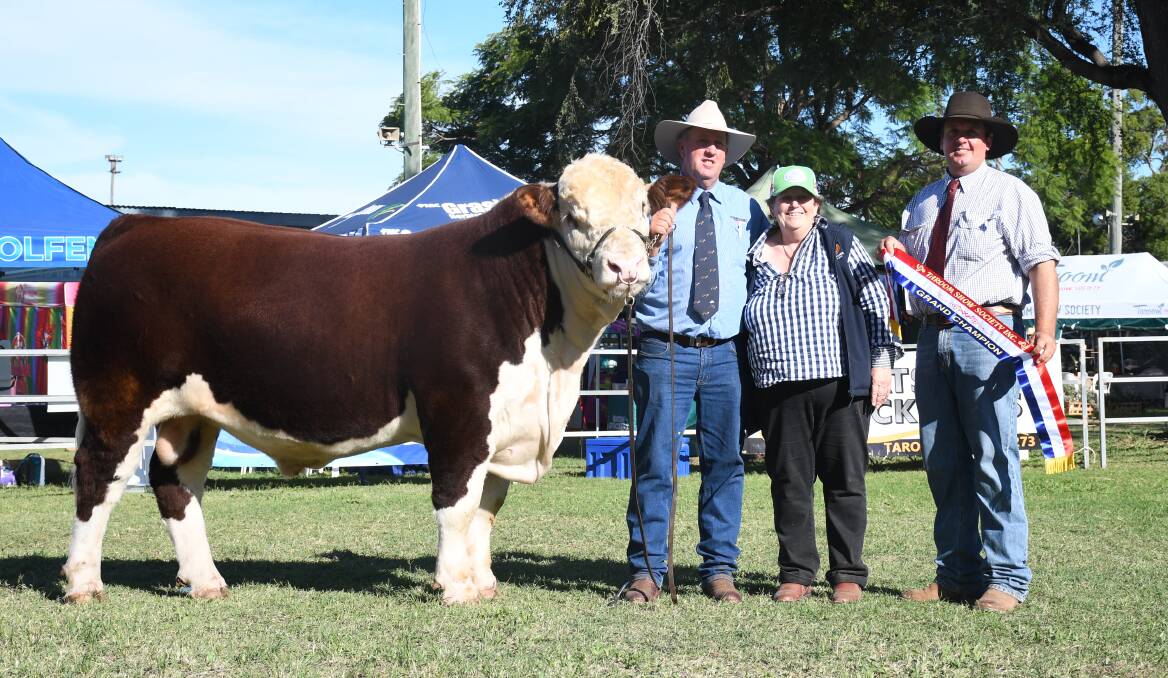 Scott and Pip Hann, Truro Whiteface Herefords and Poll Herefords, Bellata NSW, with their grand champion interbreed bull and super bull champion, Truro Shirlock, and chief steward Ben Adams, Dangarfield Santa Gertrudis. Pictures: Clare Adcock