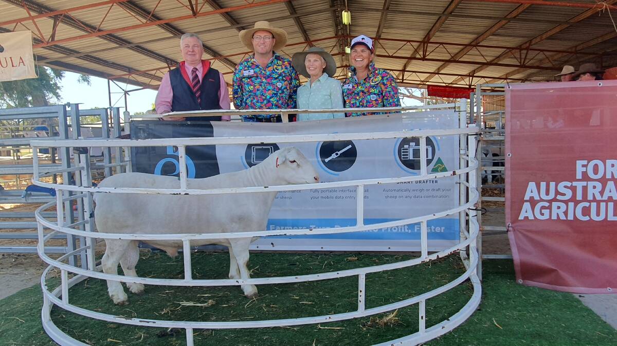 Andrew Meara, Elders, with Justin and Lorroi Kirkby of Amarula Dorpers, and the top priced White Dorper ram. Pictures: Supplied