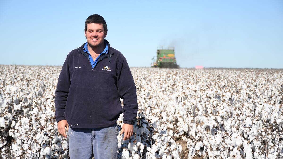 Geoffrey Todd with the last of the cotton on his family's property at St George. Picture: Clare Adcock