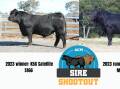 The 2023 Sire Shootout competition saw 54 entries from across the country. 