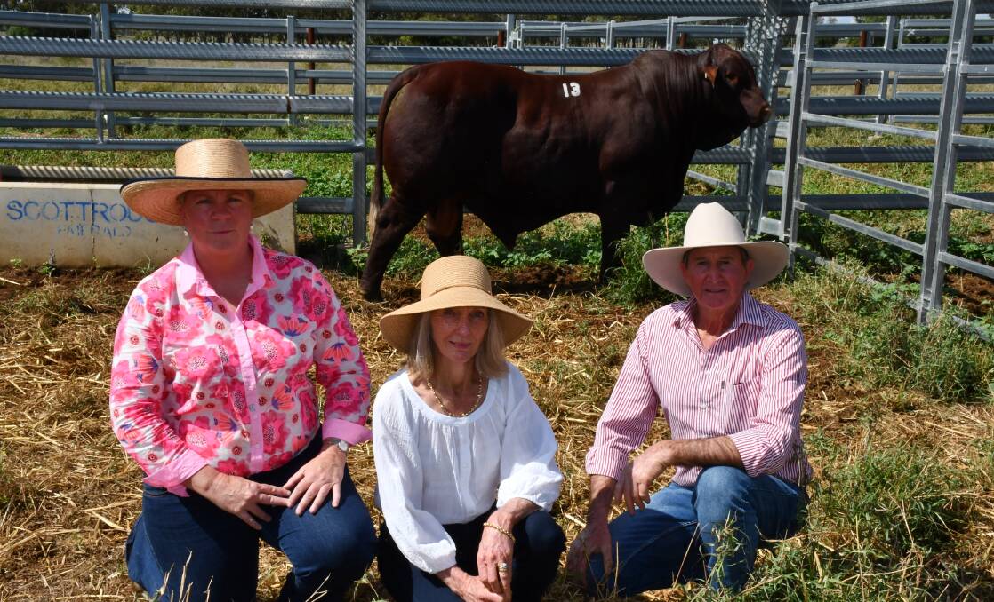 Top-priced Moongana Pilgrim with buyer Liz Allen, Blackall, and vendors Cyril and Denise Gauld.