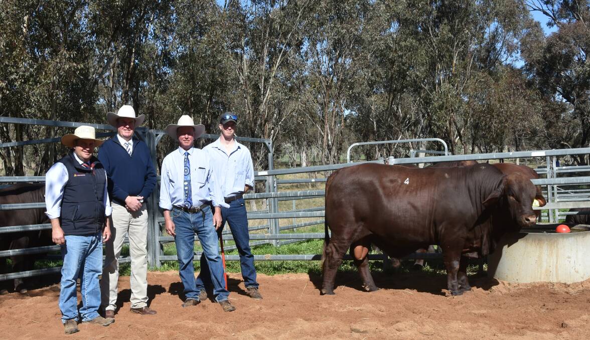 Luke Scicluna of Davidson Cameron & Co alongside auctioneer Paul Dooley and Watasanta's Neil and Jack Watson with the top bull. 