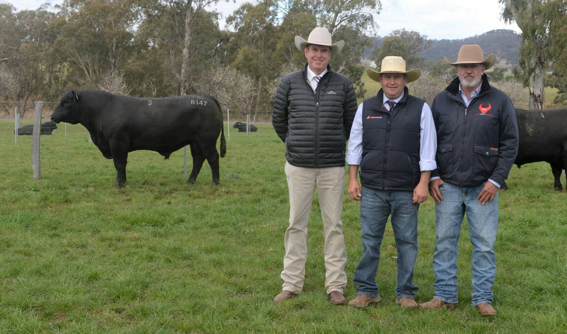 SALE TOPPER: $38,000 Coolie Lotto R147 with auctioneer Paul Dooley, Tamworth, Luke Scicluna, Davidson Cameron and Co, Gunnedah, and Coolies manager Jamie Edmonds. Photo: Kate Loudon