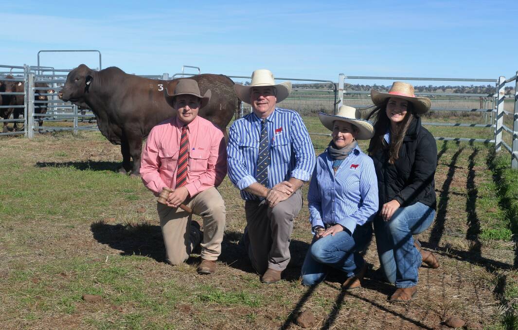 SALE TOPPER: The $50,000 Benelkay Renovator R014 with auctioneer Lincoln McKinlay, Elders stud stock, Inverell, and Benelkay's Andrew, Jules, and Georgie Orman, Goolhi. Photo: Kate Loudon