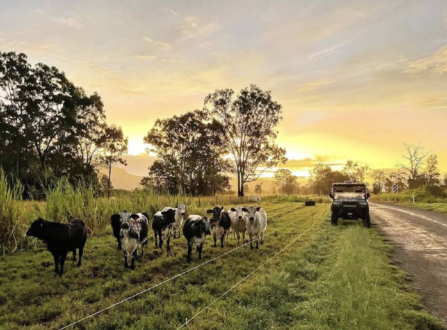 Travis shares working life, humorous videos and educational knowledge of the Australian agricultural industry on his platform. Photo: Travis Parry.