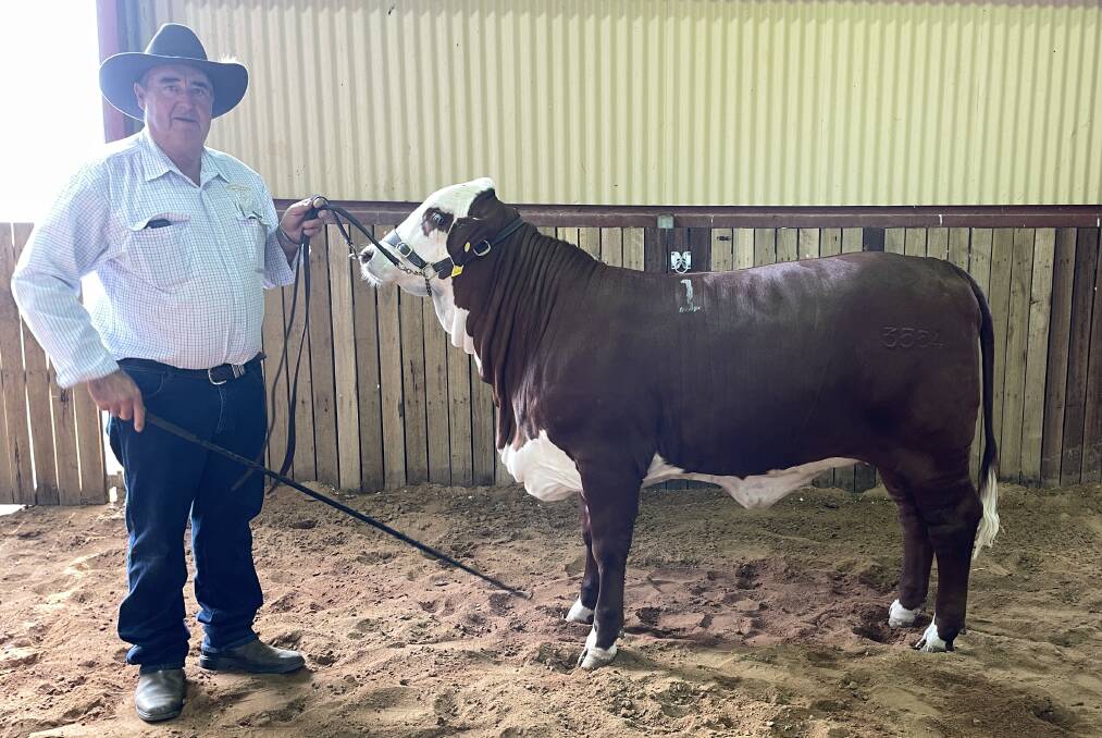 Doug Bennett, Little Valley Grazing Co, Casino, with the $9000 top-priced heifer in the NSW Braford Golden Jubilee sale. Picture by Simon Chamberlain