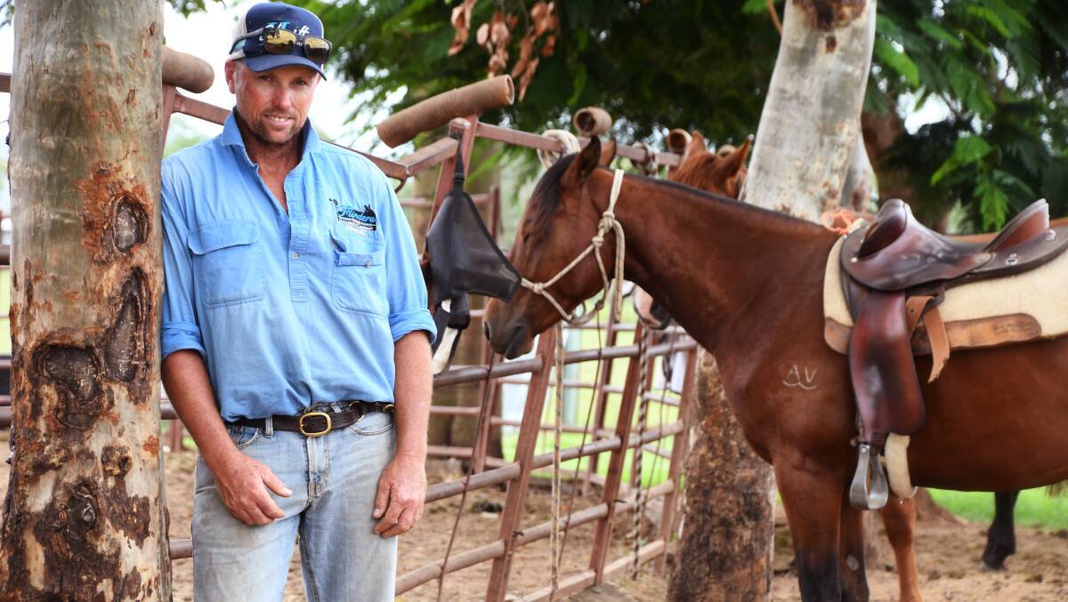 Nathan Wilson hopes to expand the North Burnett horse training enterprise as the campdraft and mustering industry booms. Picture: Brad Marsellos 
