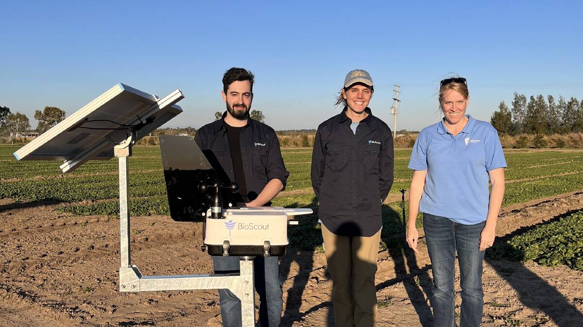 CQUniversity Research Officer Alison Jensen (far right) with representatives from BioScout at a Wallaville basil farm. Picture: Supplied
