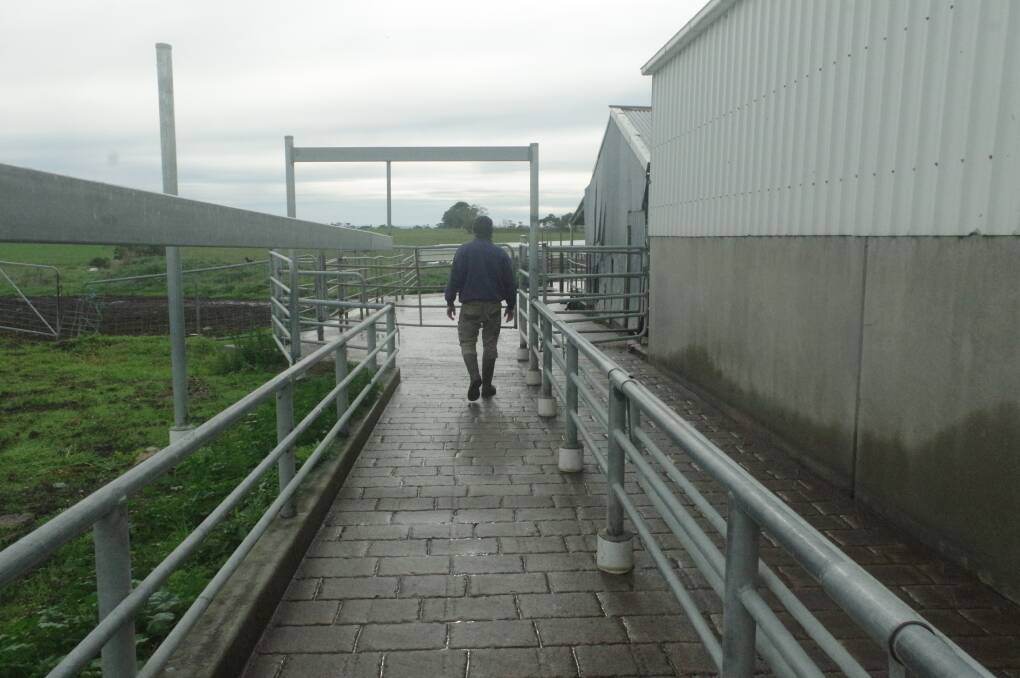 Many dairy farms are set up with the effluent pond system close by the washdown area. Picture by Jeanette Severs 