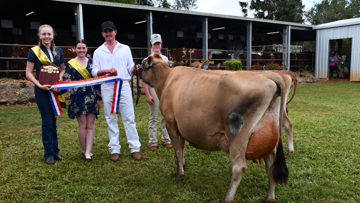 Long Lanes VH Donaria, owned by Jerry English, named champion and best udder Jersey cow at 2022 Malanda Show. Pictured are dairymaids Summer Trevor and Frances English, Jerry English and Mary English. Photo by Anne Daley