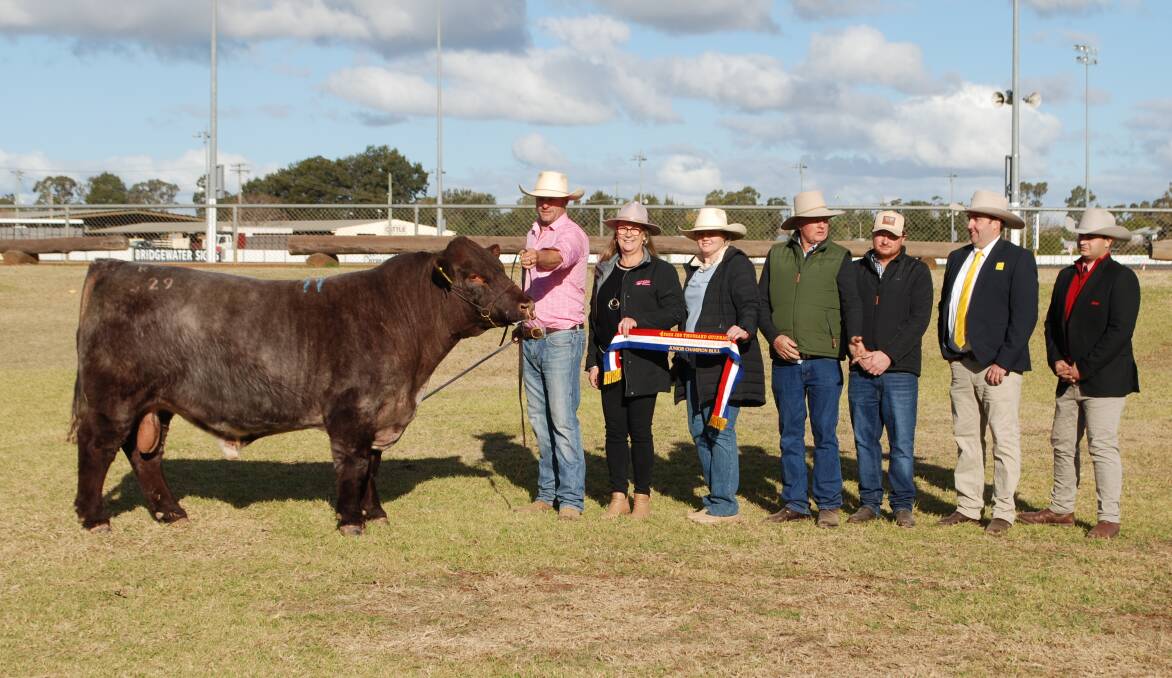 Vendors Trent and Janelle Johnstone, Ronelle Park, Lyndhurst, buyers Andrea, Peter and Lachlan Falls, Malton Shorthorns, Finley, with James Brown, Ray White, and Ryan Bajada, Elders.