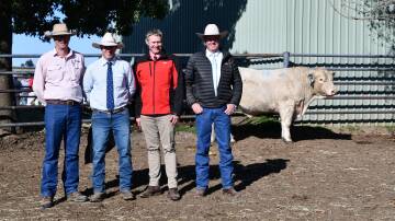 Todd Clements, Bowyer and Livermore, Bathurst, James Millner, Rosedale Charolais, Blayney, Andrew Bickford, Elders, Bathurst, and Paul Dooley, Tamworth. Picture by Rebecca Nadge. 