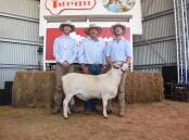 James Gilmore, Tattykeel, Craig Pellow, QPL Rural, Temora and Ross Gilmore, Tattykeel with the top-priced ram Tattykeel Cupid 221592, purchased by Helen and Mark Norris, Bridgetown Australian White stud, Glennlynn, south west WA, for $21,000. Photo by Helen De Costa. 