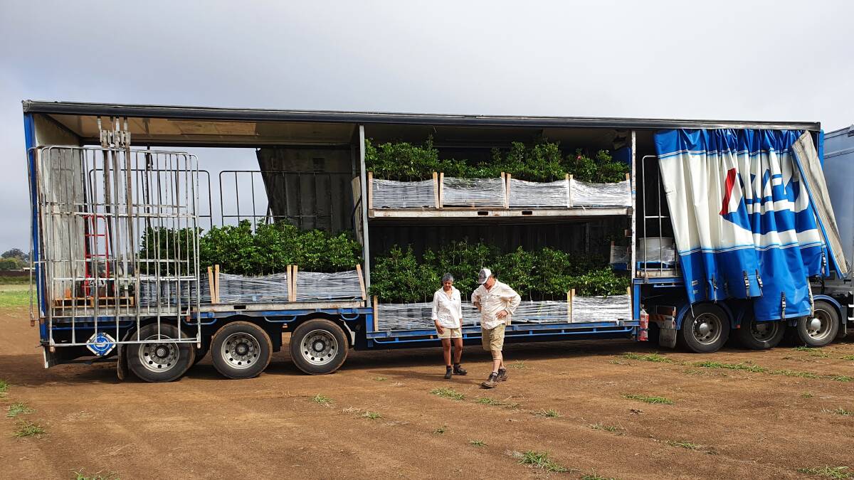 Karen and Chris stand in front of a B-double loaded up with their miracle fruit trees, which made the long journey from Cairns to Childers in 2021. Picture supplied 