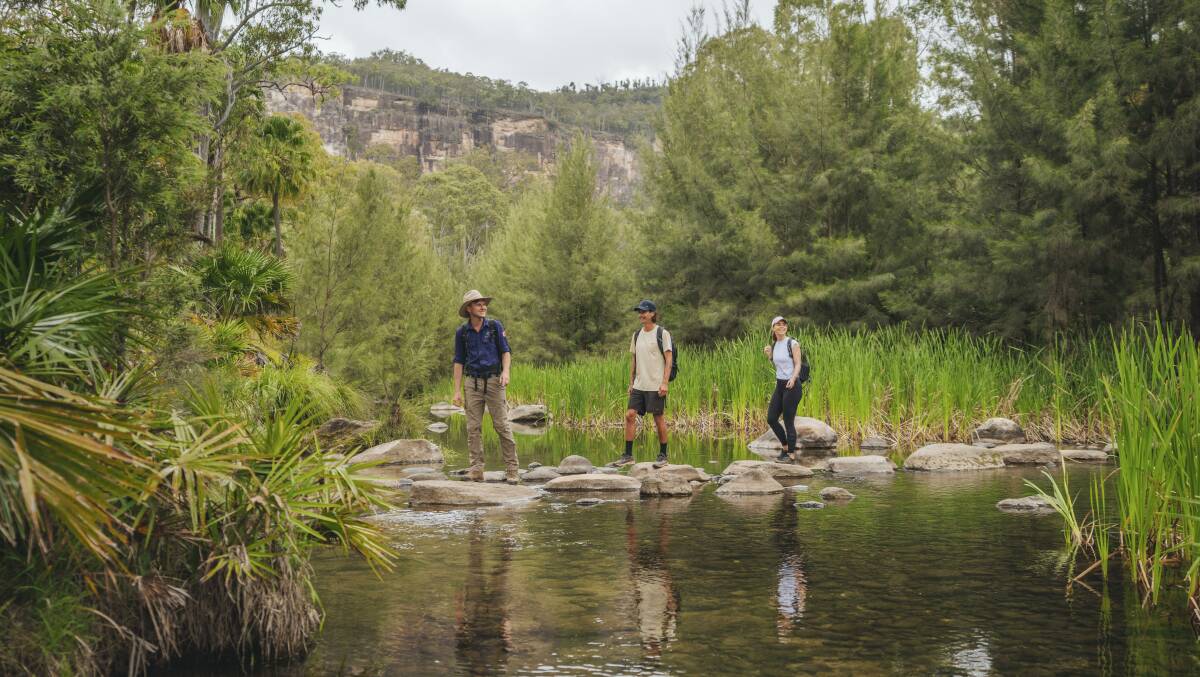 Christian Bom leading a hiking tour on the property. Picture by Tourism and Events Queensland