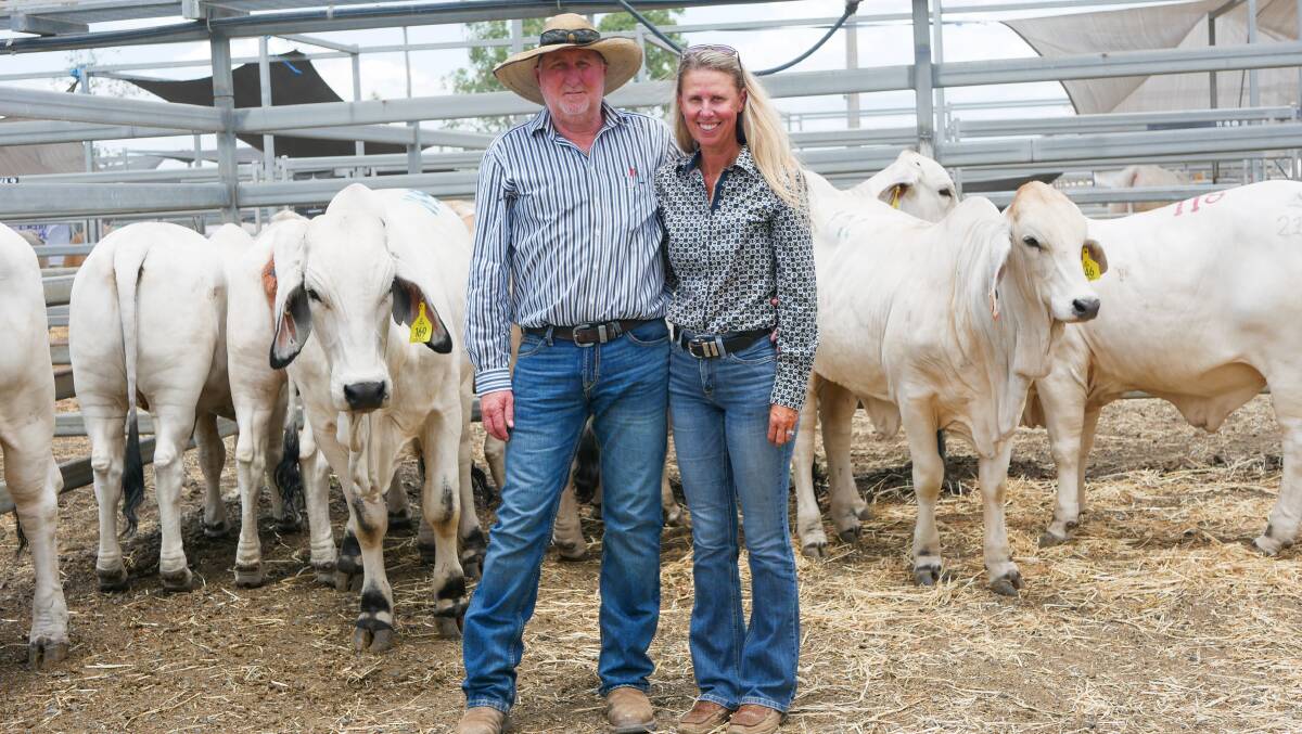 Megan and William Beale, Mamillae Brahmans, Victoria Plains, with some of the 15 heifers they purchased at the February All Breeds Bull & Female sale. Picture by Ellouise Bailey