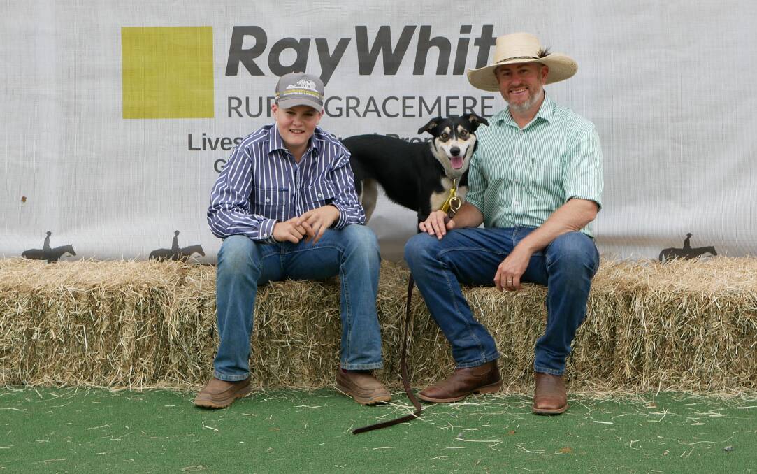 Amos and Joe Leven, Casino, NSW with Cabra Glebe Liz, who sold for a new world record. Picture by Ellouise Bailey