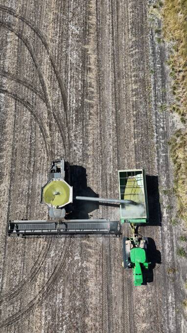 A drone shot of Mark and Megan Baker's mungbean crop. Picture: Macklin Baker