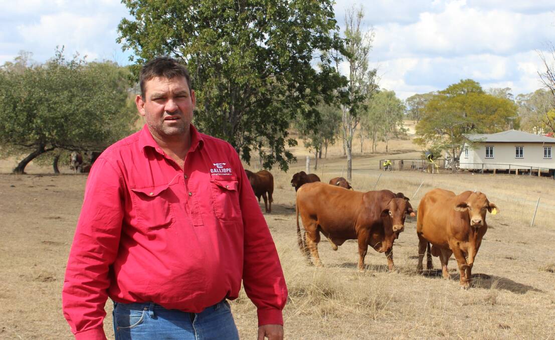 Will Wilson of Calliope Cattle Company, Calliope. File pic