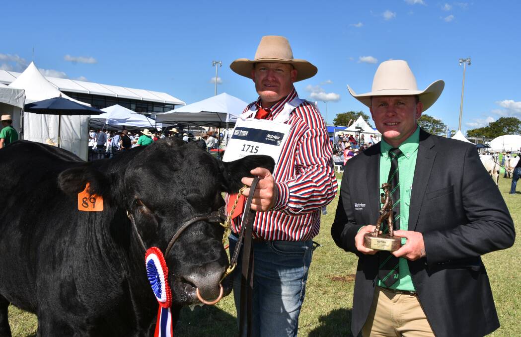 Handler James McUtchen, Jandowae with grand champion South Devon bull, Kildare Tango from the Kildare Grazing Company, alongside Nutrien Ag Solutions' north east livestock lead, Colby Ede, Glenvale. Picture: Ashley Walmsley