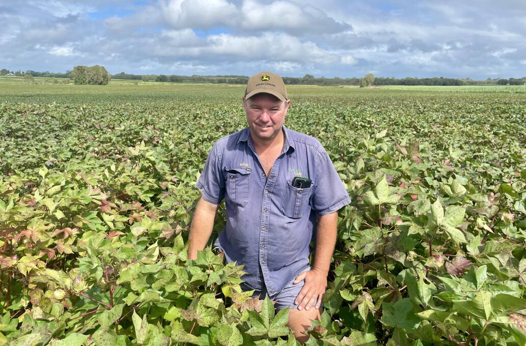 Nathan Doyle is alternating cotton with his sugar cane crops. Picture: Judith Maizey