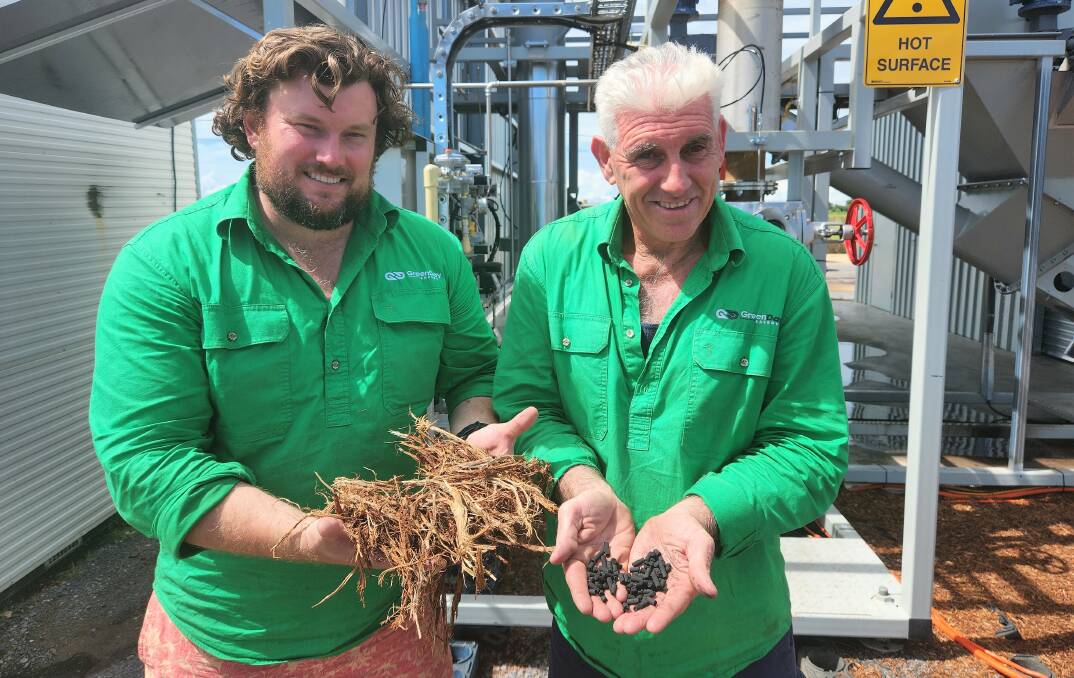 In happier times, Green Day Energy directors David Hutchinson and Brad Carswell with the raw material and the biomass pellets formed from their pilot plant earlier in the year. Pictures: Sally Gall