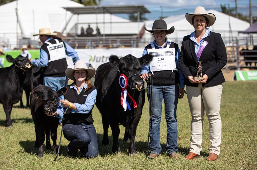 The grand champion Lowline female, Rotherwood Sapphire Girl, exhibited by Rotherwood Lowline Stud, with her handlers, Aislynne Boland and Carlie Mackelmann, and associate judge Belinda Webber. Picture: Kelly Walsh