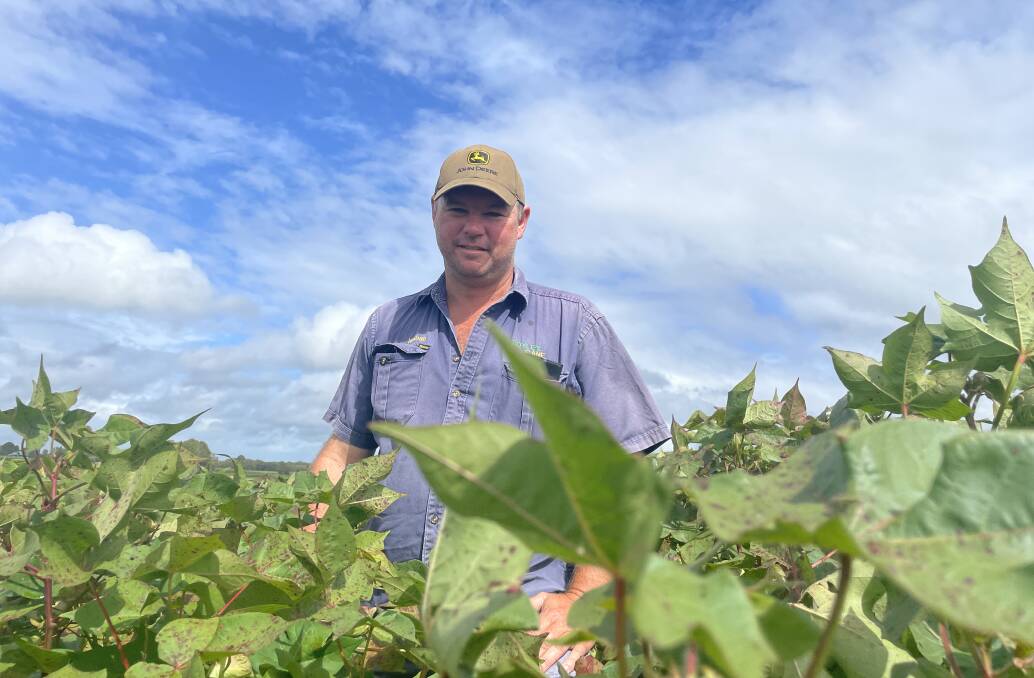 Nathan Doyle in his cotton crop near Maryborough. Picture: Judith Maizey