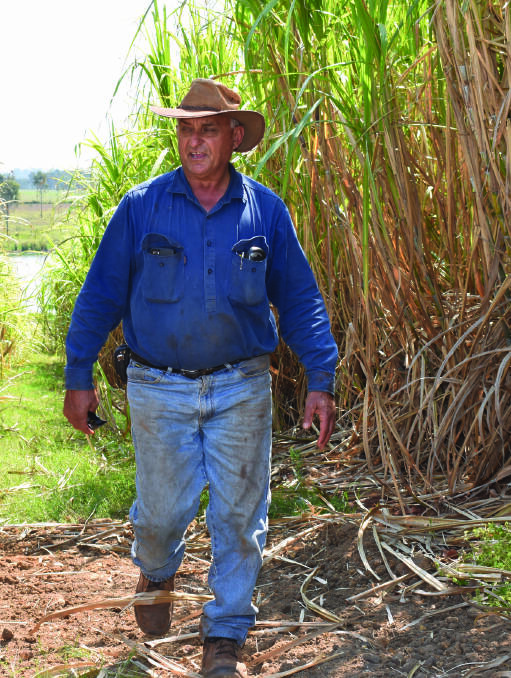 Canegrower, John Russo, is concerned about the recent spike in crime targeting farms around Childers. File pic