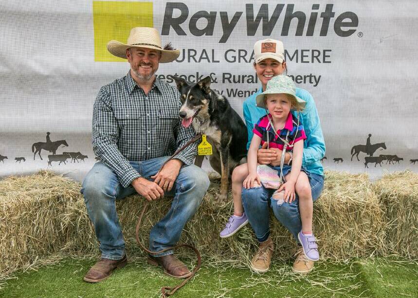 Record breaking border collie Cabra Glebe Sid, with vendor Joseph Leven, Casino, NSW, and buyer Helen Parker and daughter Macey. Picture by Jodie Humble.