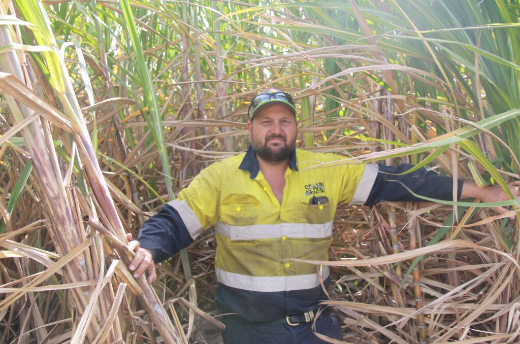 Canegrowers Rocky Point deputy chair Ben Spann is a third generation farmer and said he was passionate about the industry. "The world will always need sugar," he said. Picture: Alison Paterson 