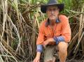Rocky Point Canegrowers chair Greg Zipf with a fire ant nest found 100m from his home on his south east Queensland cane farm. PIcture: Supplied