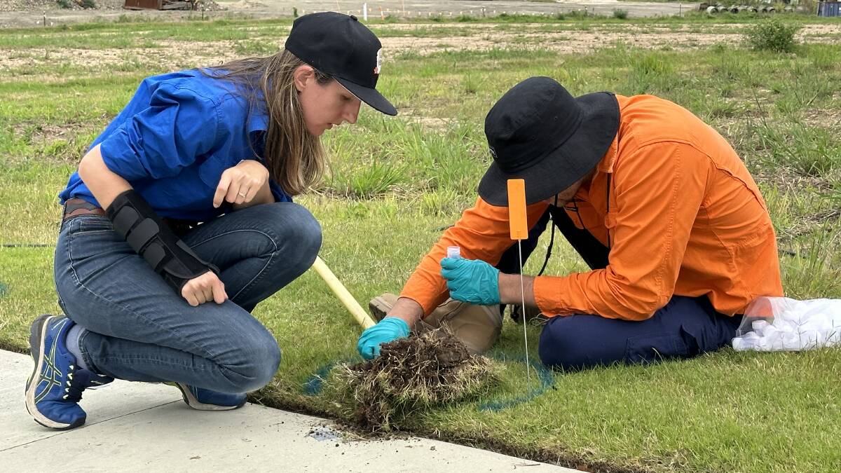 NSW DPI Project Officer Invasive Invertebrates Pauline Lenancker and National Fire Ant Eradication Program Direct Nest Injection Technician Jarred Nielsen treat one of the fire ant nests. Picture: Supplied