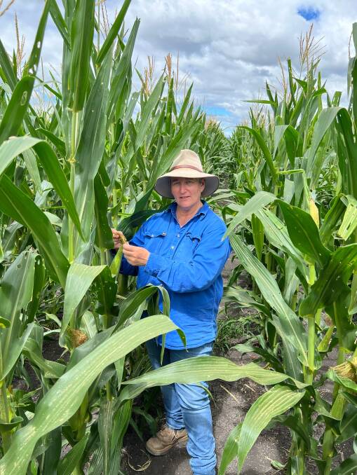 DAF principal entomologist Dr Melina Miles urged growers to be alert, but not alarmed by FAW. Picture: Supplied