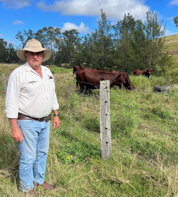 Gald Pastoral livestock manager Russell Gray with some of the heifers he purchased at the Bartholomew & Co 2023 Santa Gertrudis sale. "The quality this year was very good," he said. Picture: Supplied. 