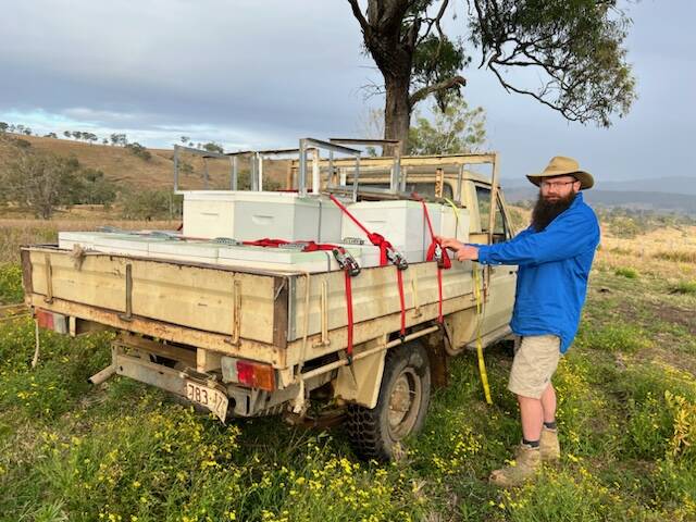 Scenic Rim apiarist Jason Wilson said he's concerned about varroa mite and Asian honey bee threats and urged all beekeepers to regularly check their hives for pests. Picture: Supplied 