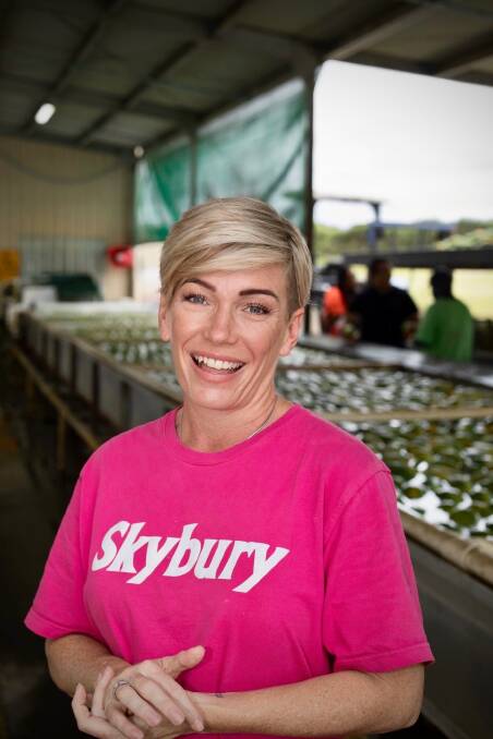 Near Mareeba, Skybury Farms general manager Candy Maclaughlin said their property which specialises in growing red papaya has paid $10K in additional levees to get their produce to market since the Palmerston Hwy was closed due to TC Jasper. Picture: Supplied