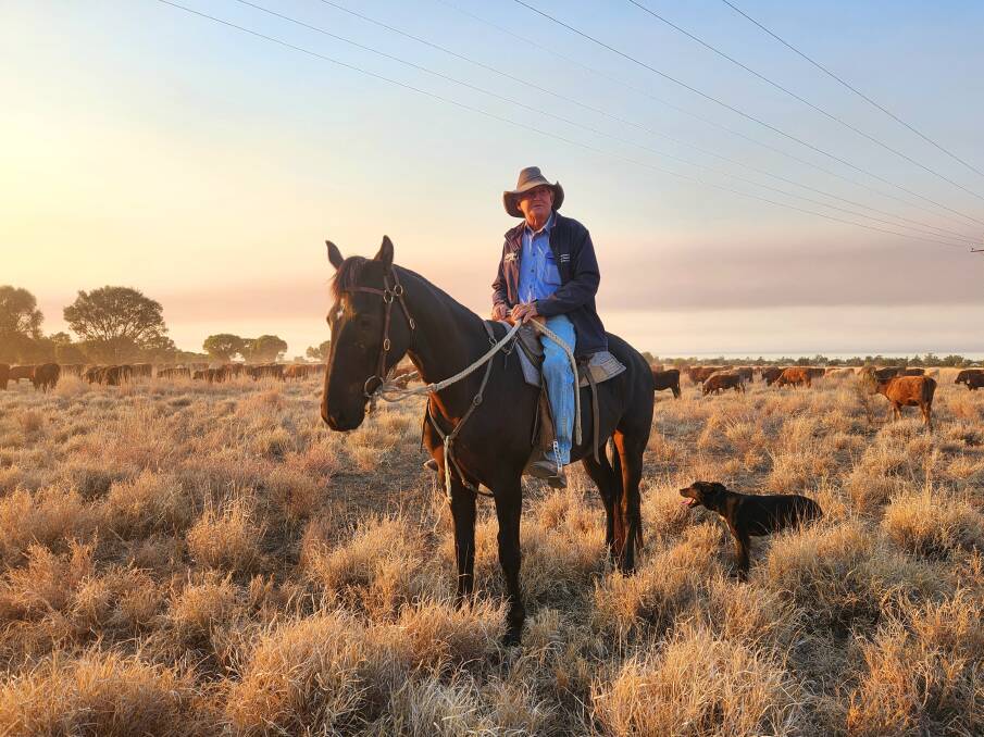 Drover and campdraft identity Terry Hall said he was worried about the loss of stock routes and watering opportunities. Picture: Sally Gall