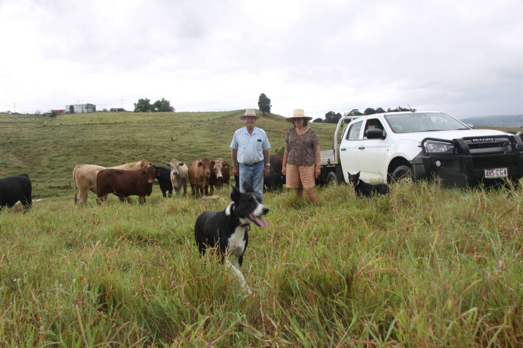 Boonah graziers Don and Gaye Kirchner with muster dogs Trixie and Sue at their property Templin Hills where they raise cattle for feedlots. Picture: Alison Paterson 