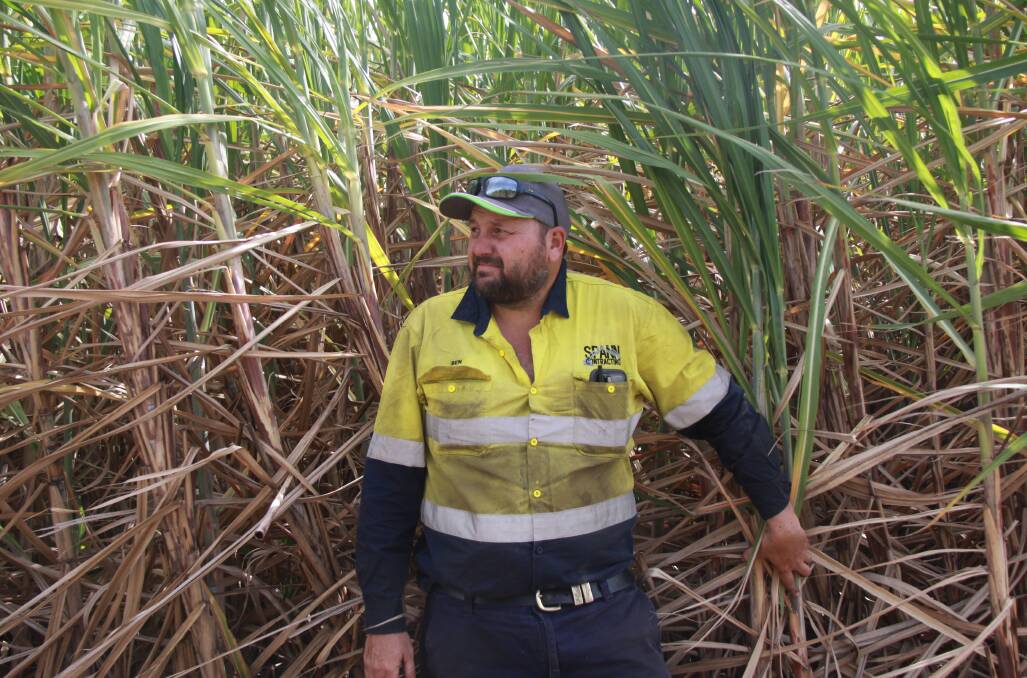 Canegrowers Rocky Point deputy chair Ben Spann said invasive species such as Red Imported Fore Ants and Fall armyworm were a real challenge to farmers who had to remain vigilante. Picture: Alison Paterson 