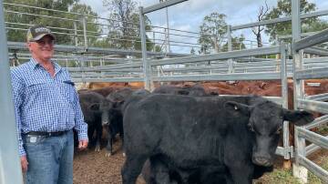 Gary Walsh with a his winning pen of Angus-Brangus-cross weaner steers of less than 38 per cent tropical breed content, which sold for sold 292 cents a kilo at the Eidsvold weaner sale on May 16. Picture: Supplied