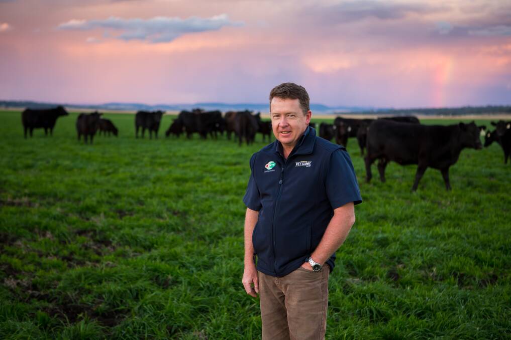 Warwick Veterinary Clinic director and member of Australian Cattle Vets Dr Chris Reardon said BVDV was always part of the conversation when discussing disease management with cattle producers. Picture: Supplied 