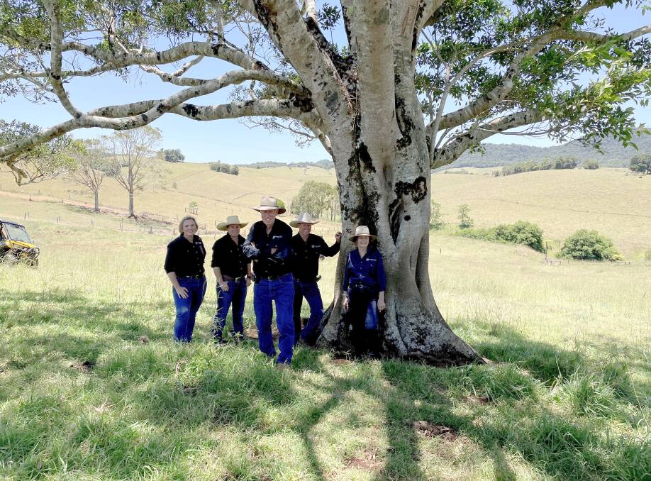 The Telpara Hills Pearce family, l-R Brittany, Fiona, Trevor, Stephen and Maureen on their Upper Barron property on the Atherton Tablelands. Picture: Alison Paterson. 