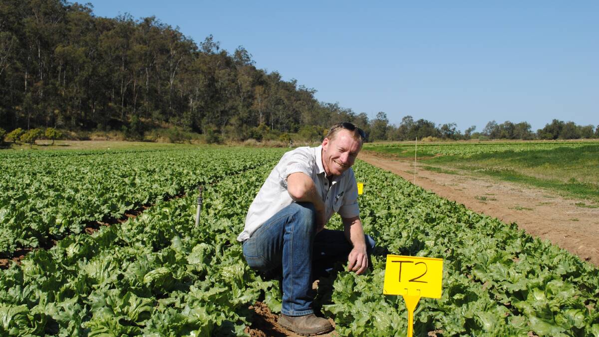 Arable Field Research director Levon Cookson, said he was thrilled with their newest chocolate capsicum variety. Picture: Supplied