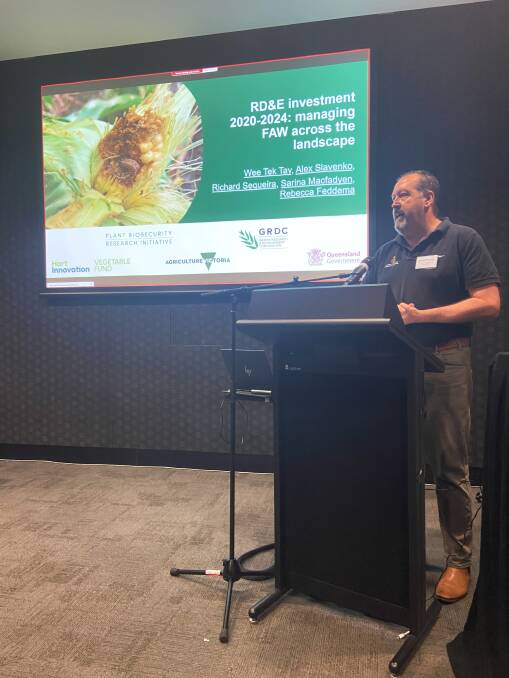 Bowen Gumlu Growers Association Regional Development Officer Dave Shorten chaired a panel at the 2024 National Fall Armyworm Symposium which stressed the importance of all ag sectors joining forces to manage FAW. Picture: Supplied 